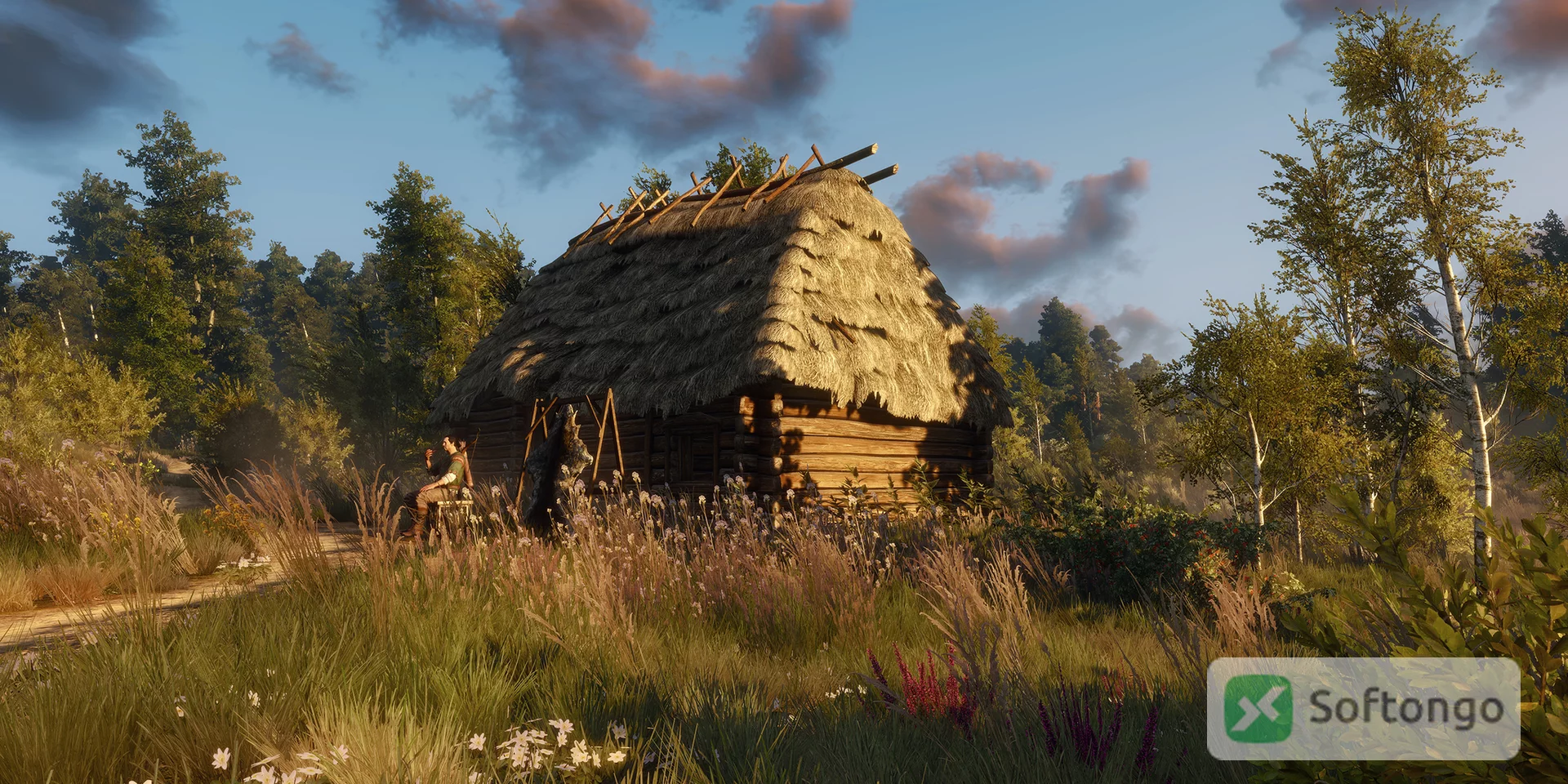 Witcher 3
