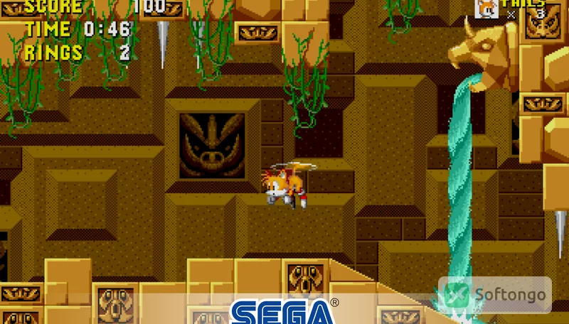 Sonic