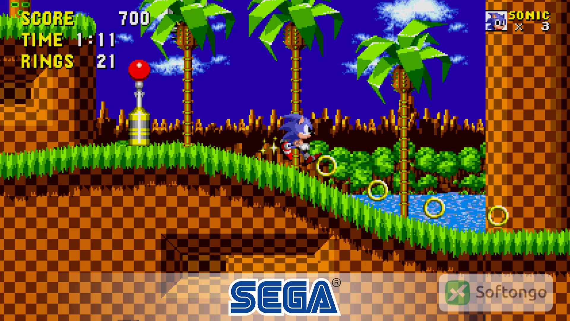 Sonic