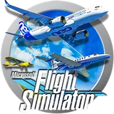 Microsoft Flight Simulator
