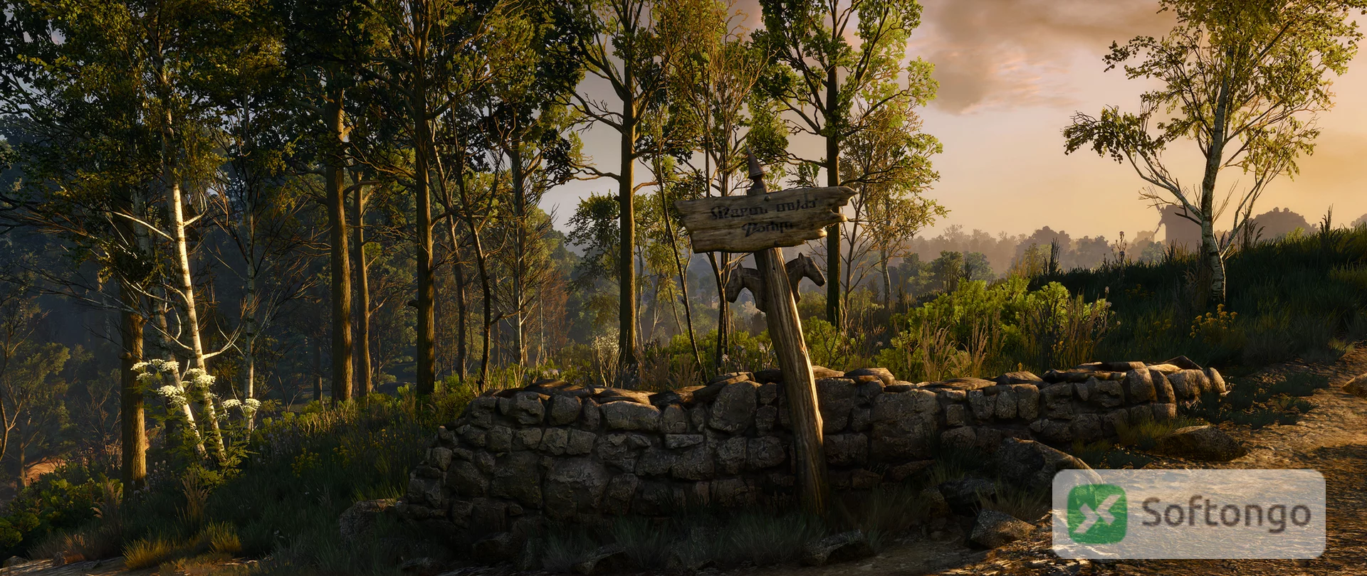 Witcher 3