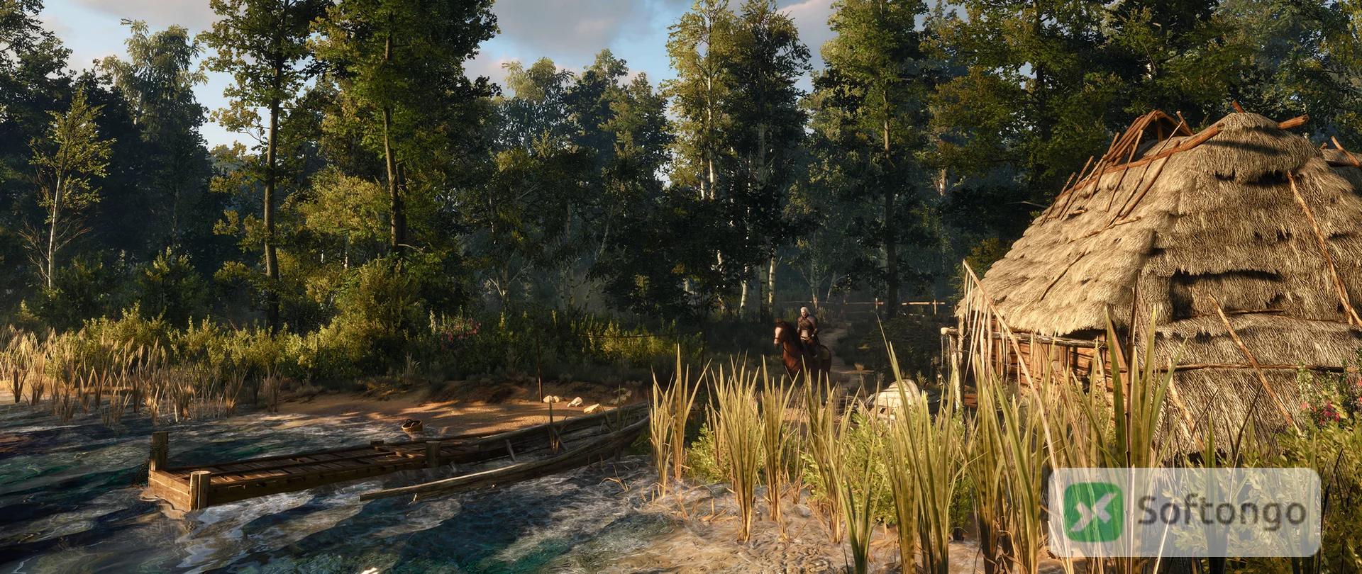 Witcher 3