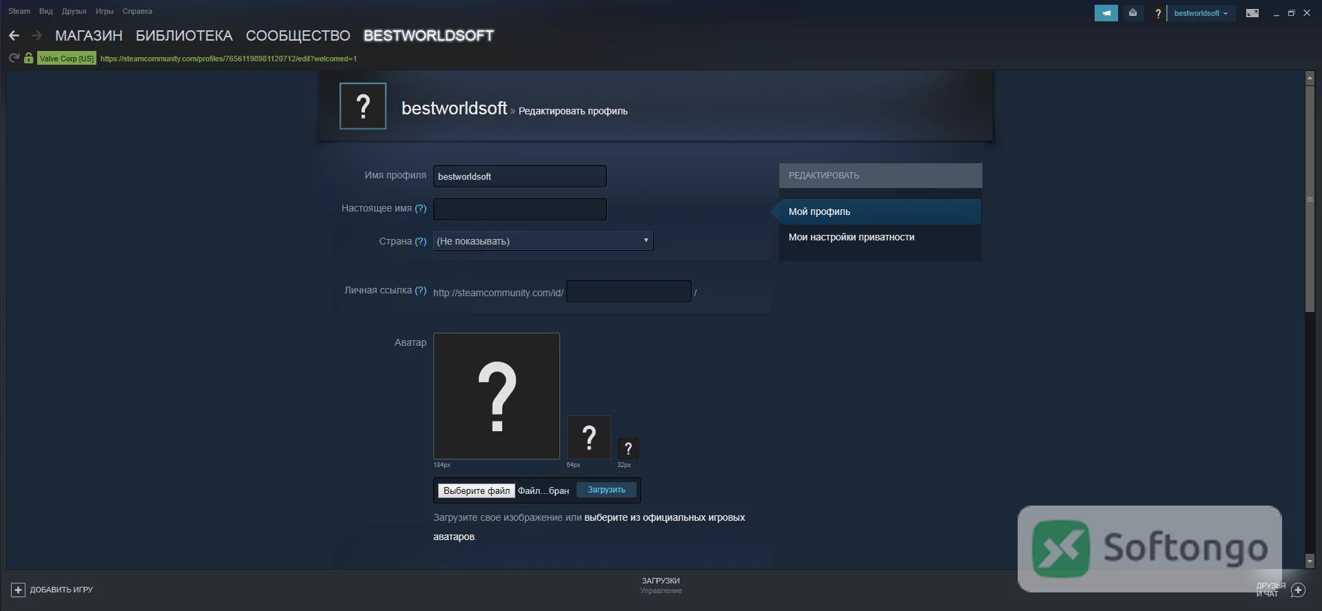Steam
