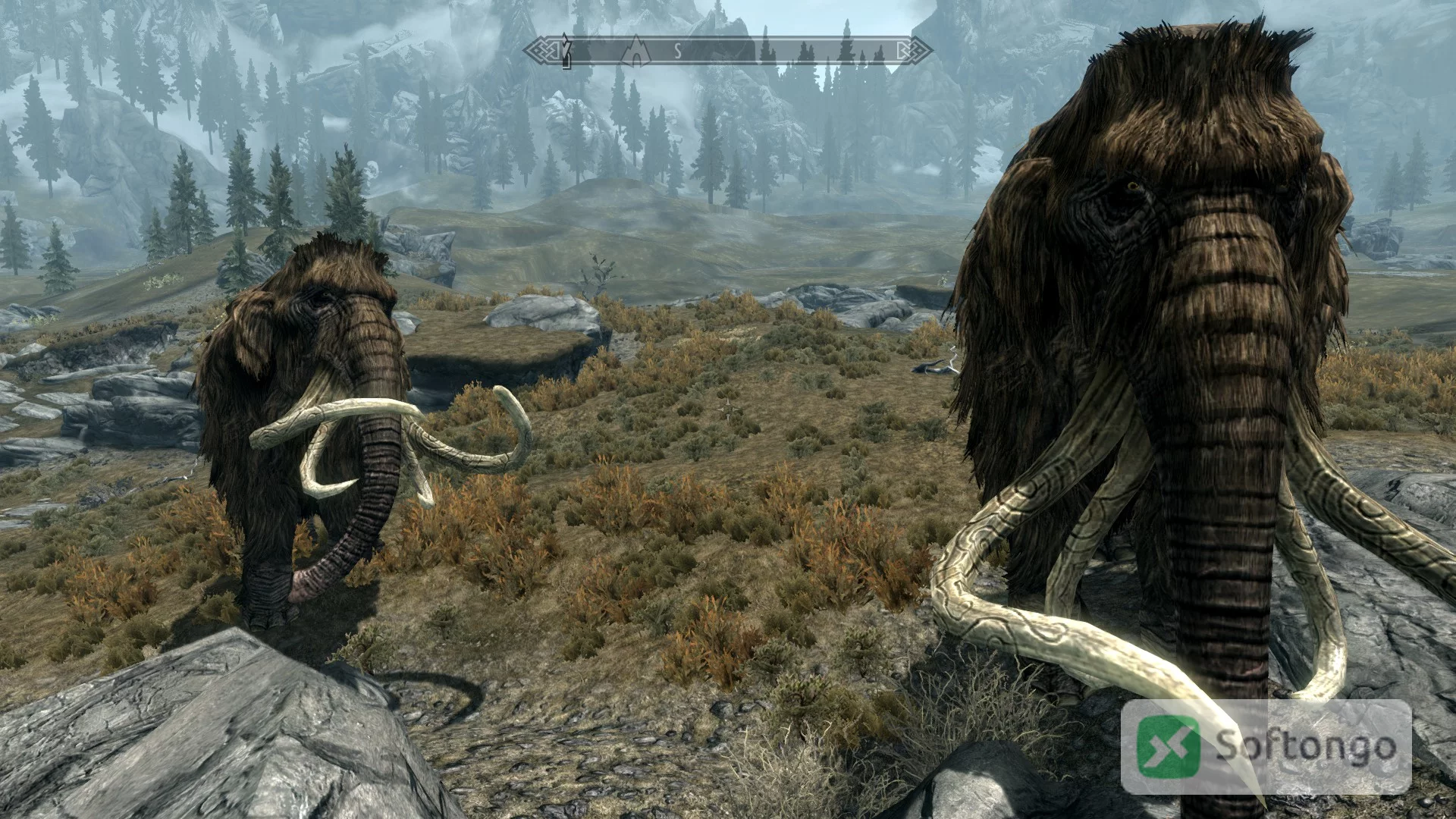 Skyrim