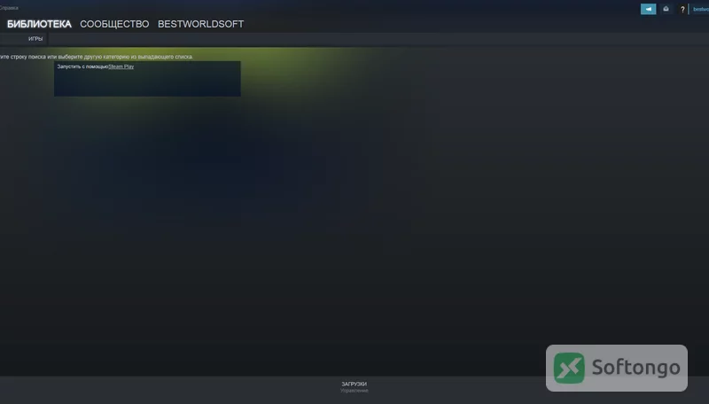 Steam