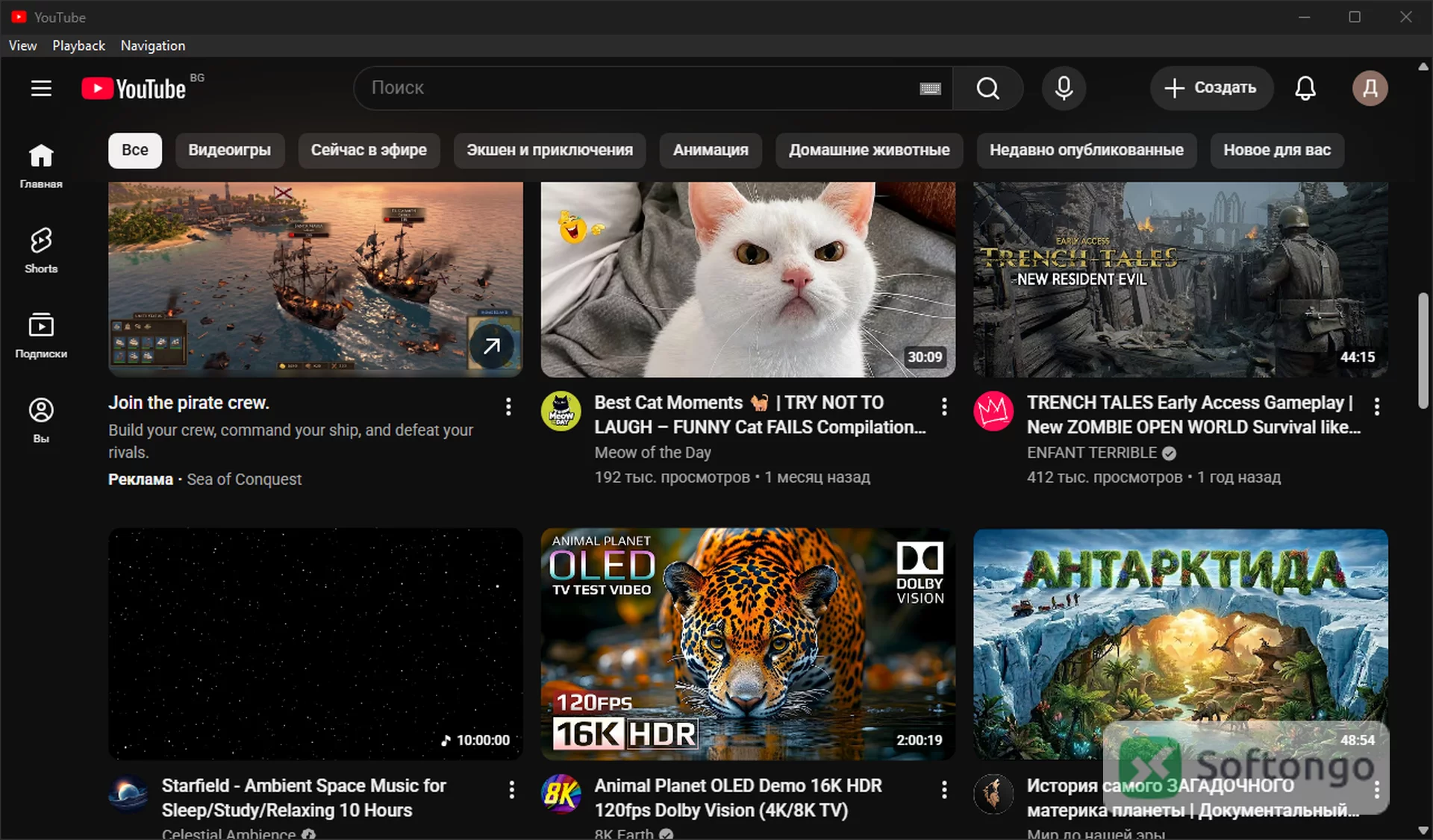 YouTube Desktop