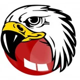 BlackHawk Web Browser