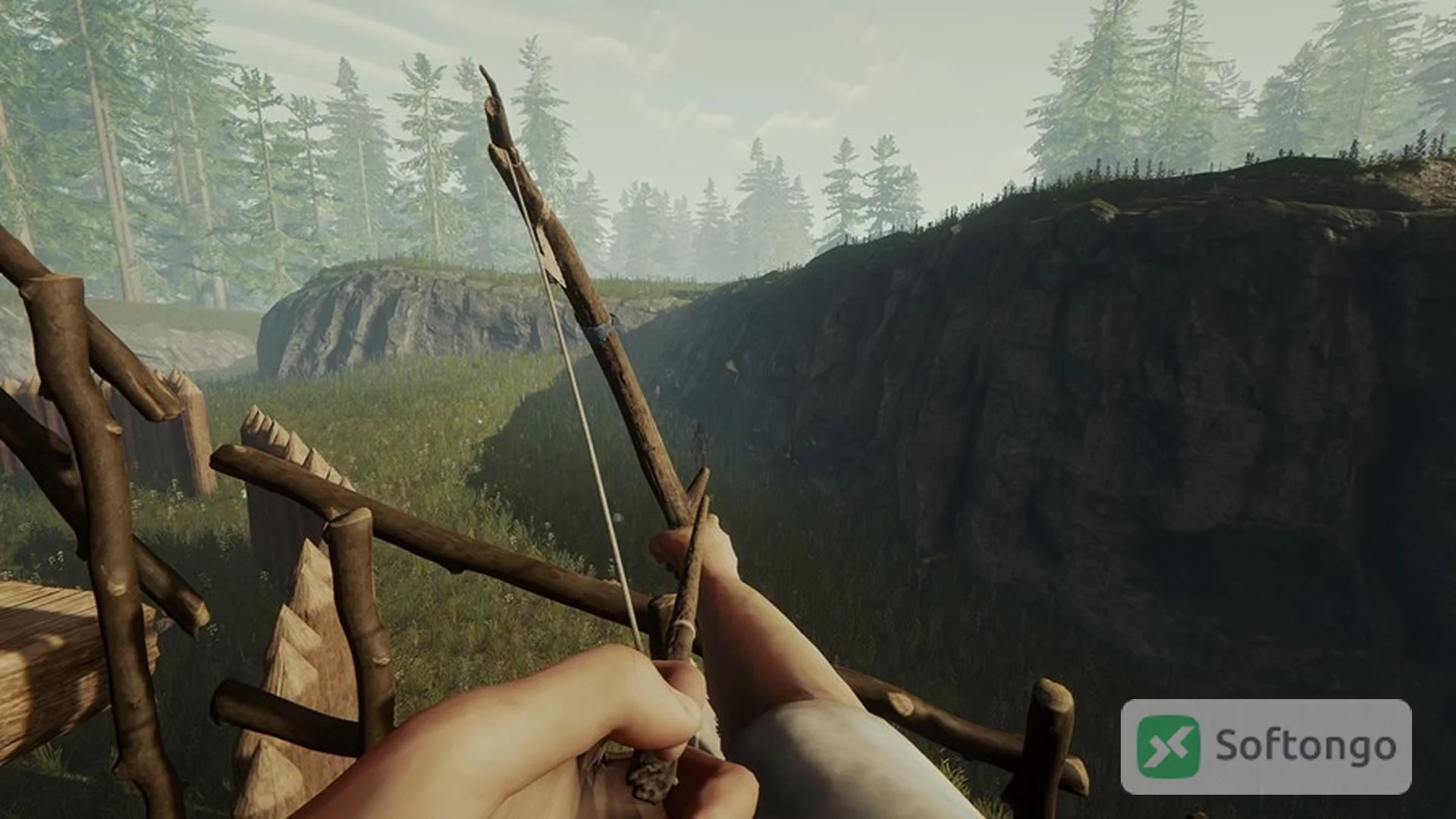 The Forest