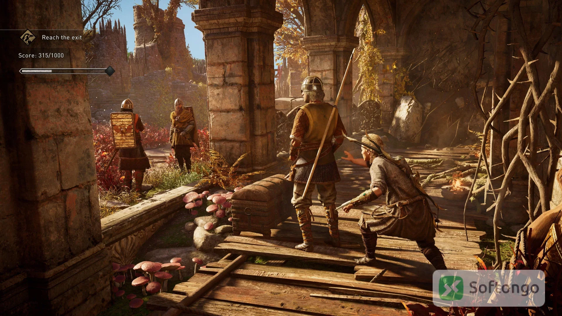 Assassins Creed Valhalla