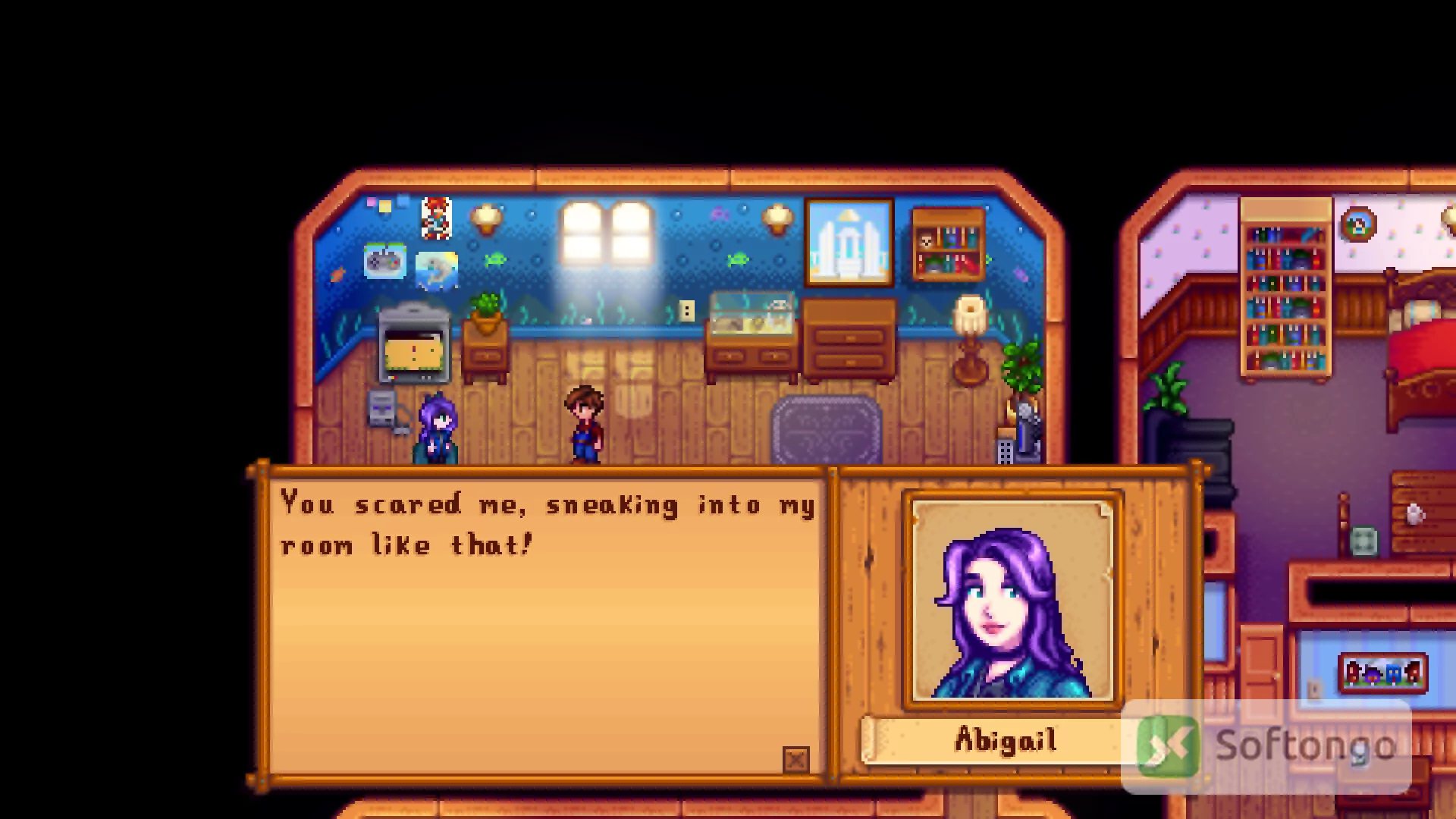 Stardew Valley