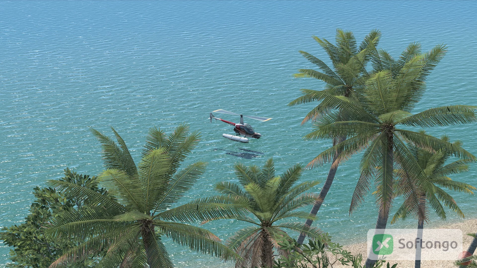 X-Plane