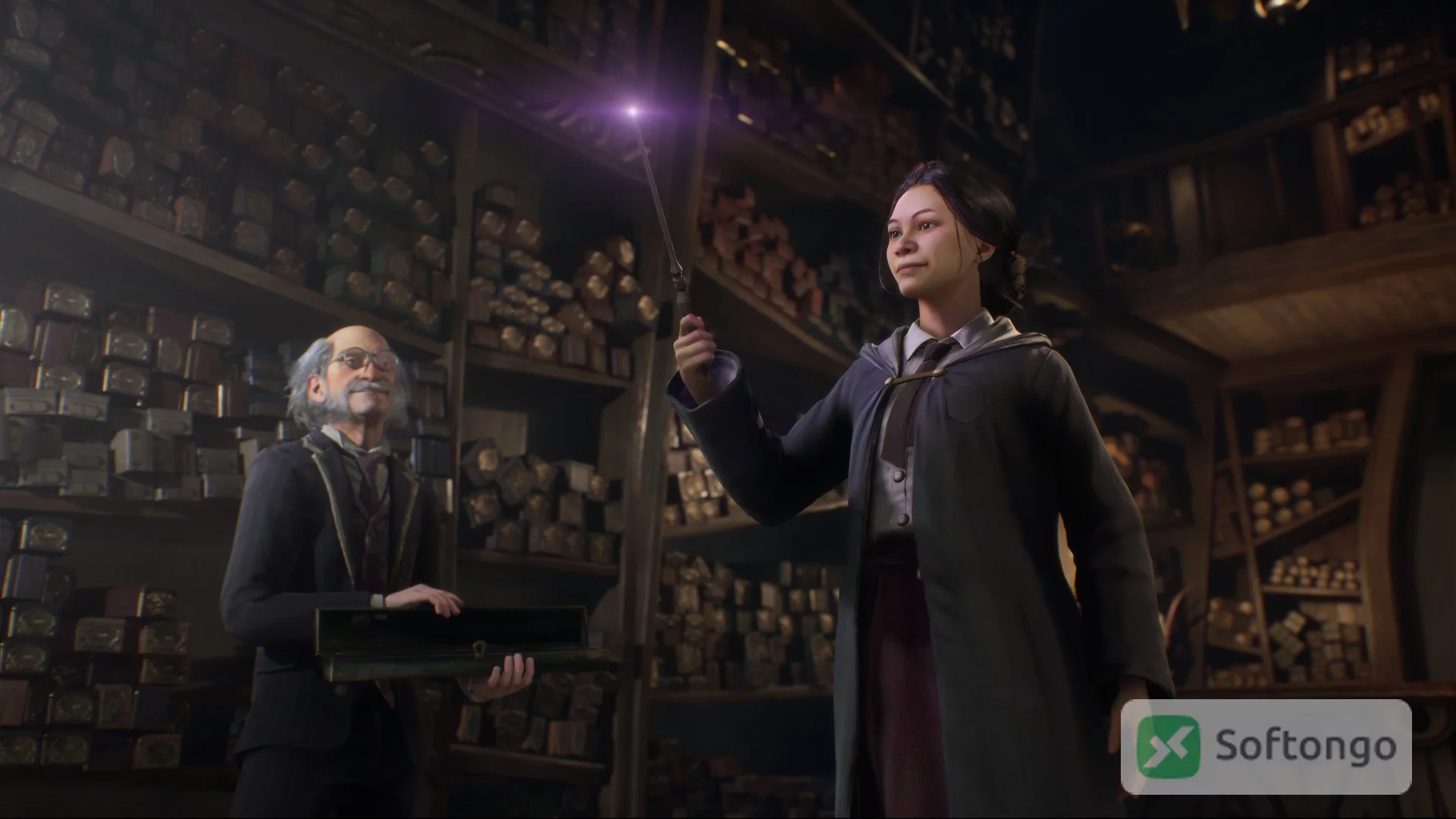 Hogwarts legacy