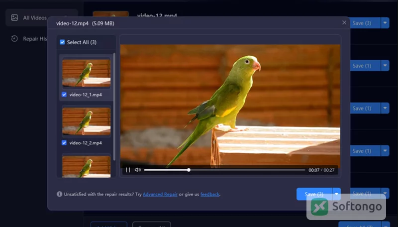 HEVC Video Extensions