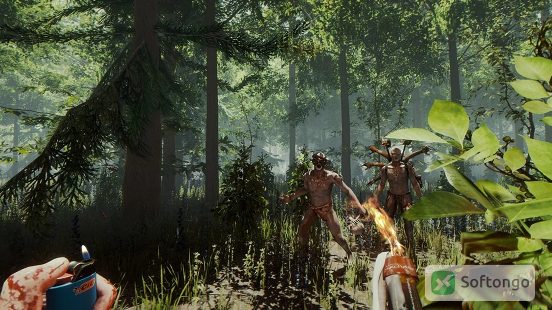 The Forest