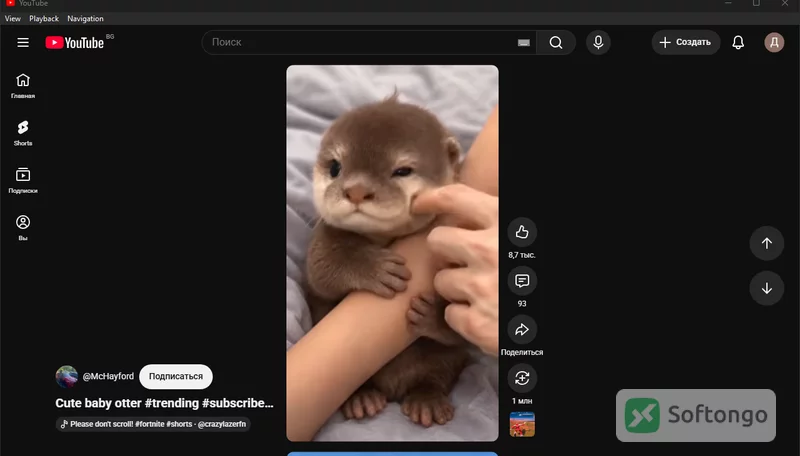 YouTube Desktop