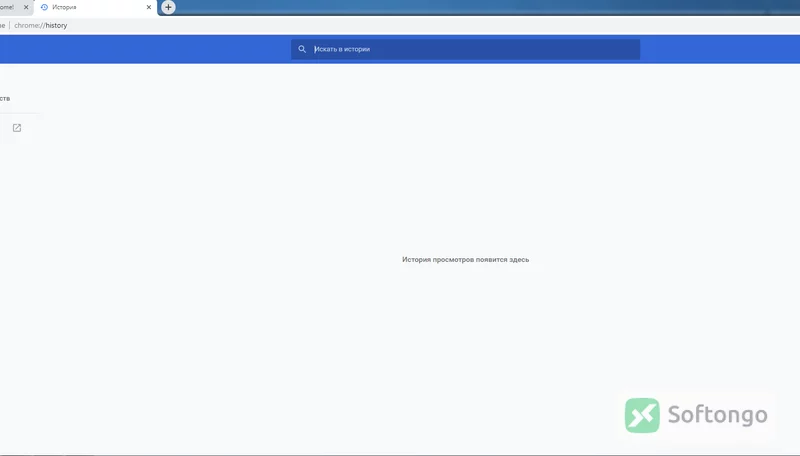 Google Chrome