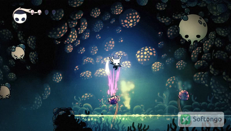 Hollow Knight