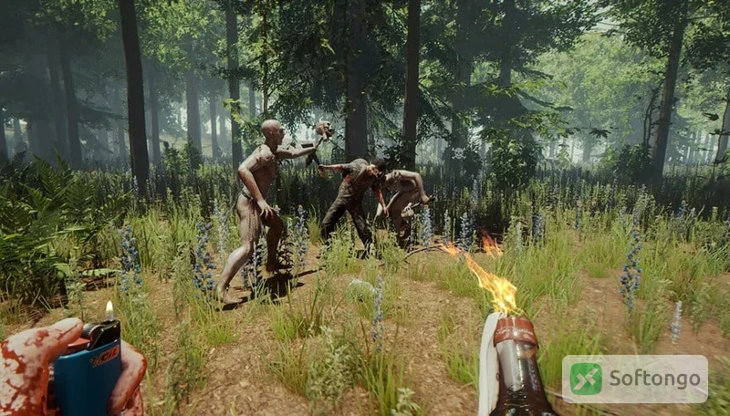 The Forest