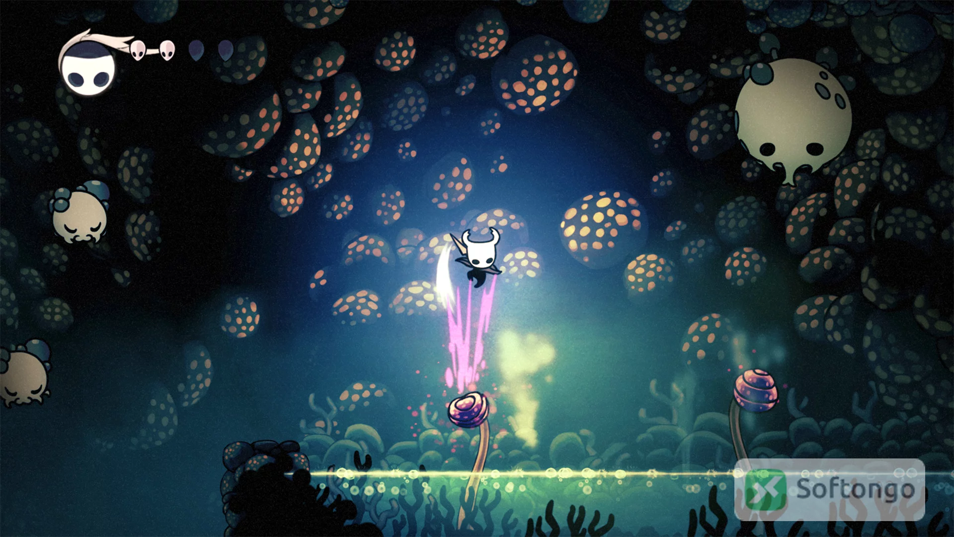 Hollow Knight