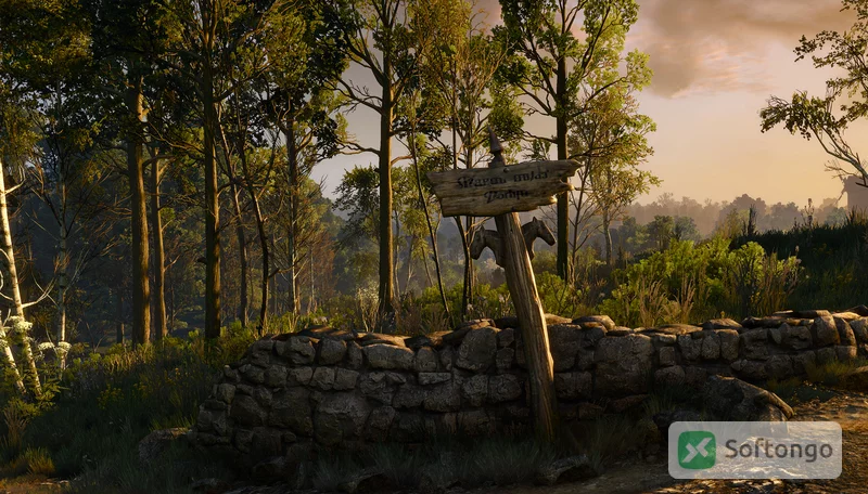 Witcher 3