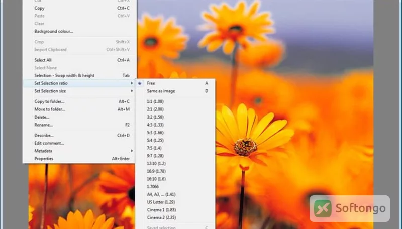 XnView