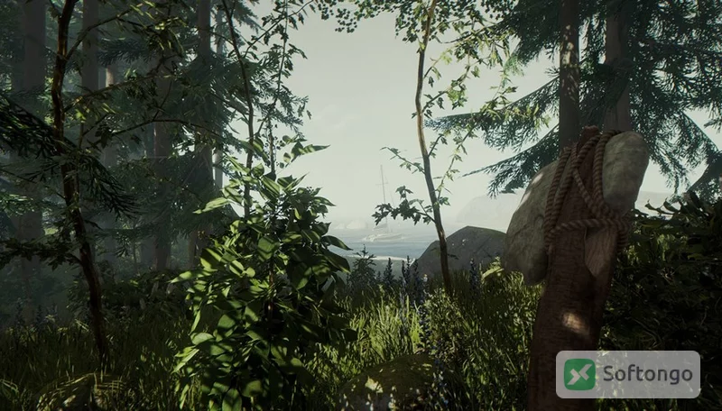 The Forest