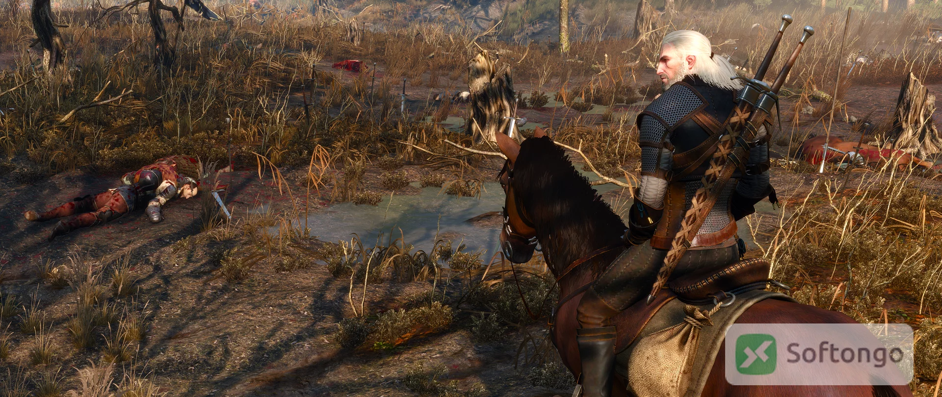 Witcher 3