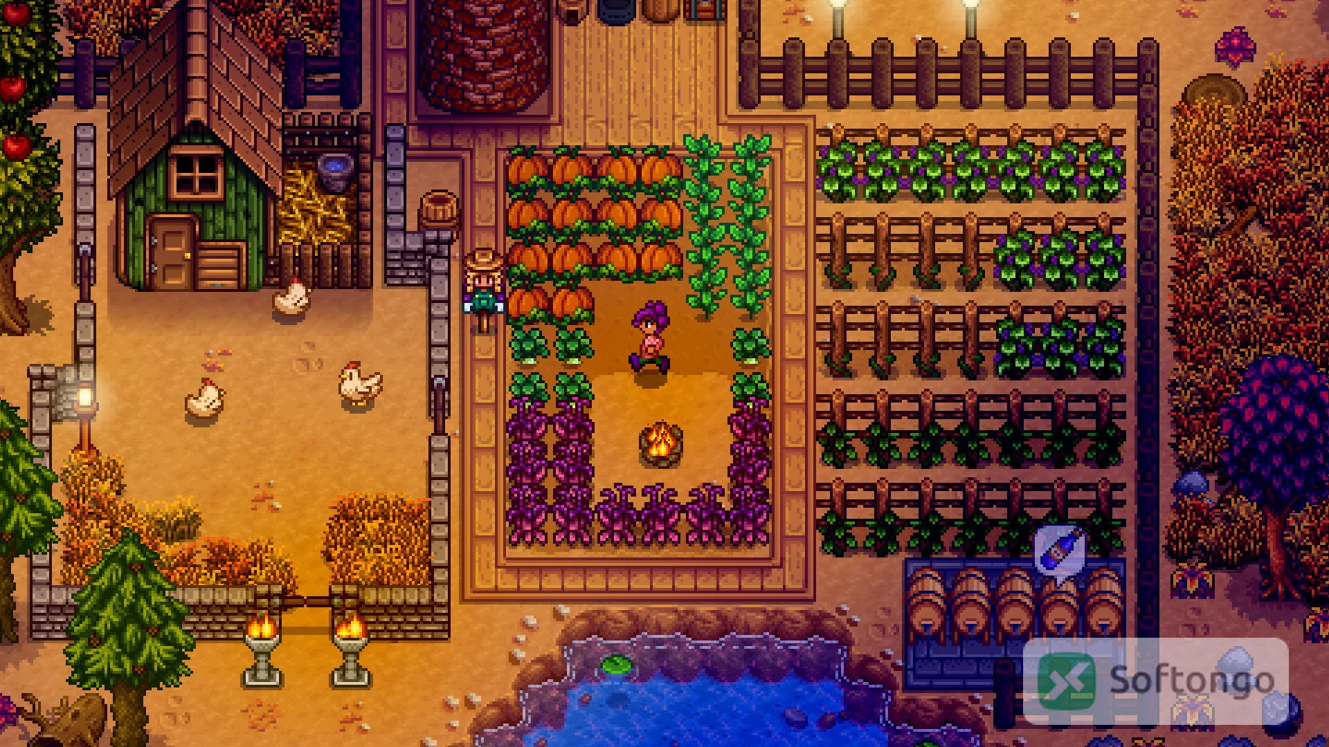 Stardew Valley