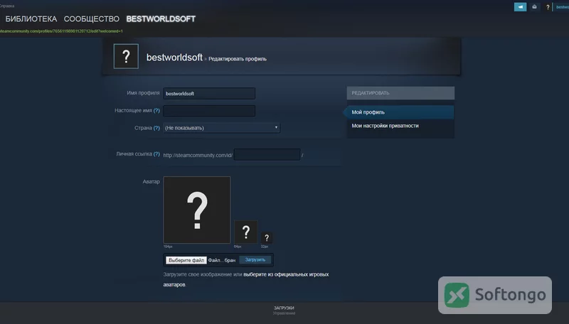 Steam