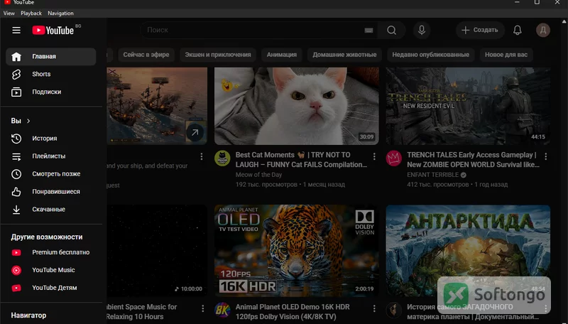 YouTube Desktop