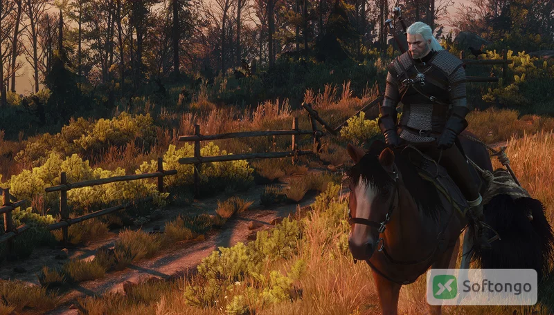 Witcher 3