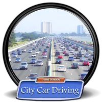 City Car Driving