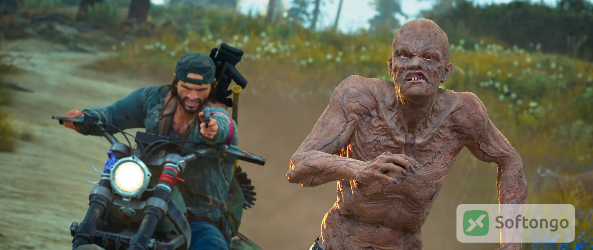 Days Gone