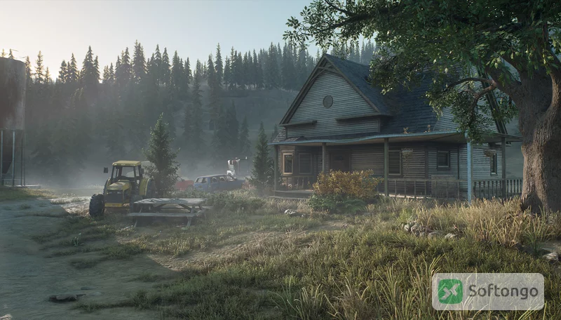 Days Gone