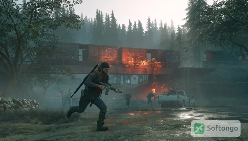 Days Gone