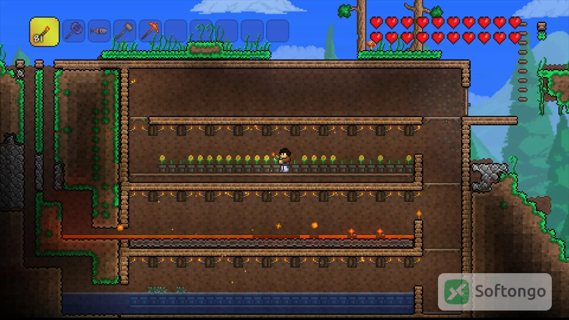 Terraria