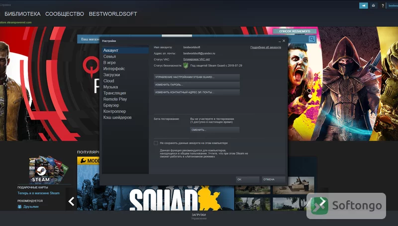 Steam