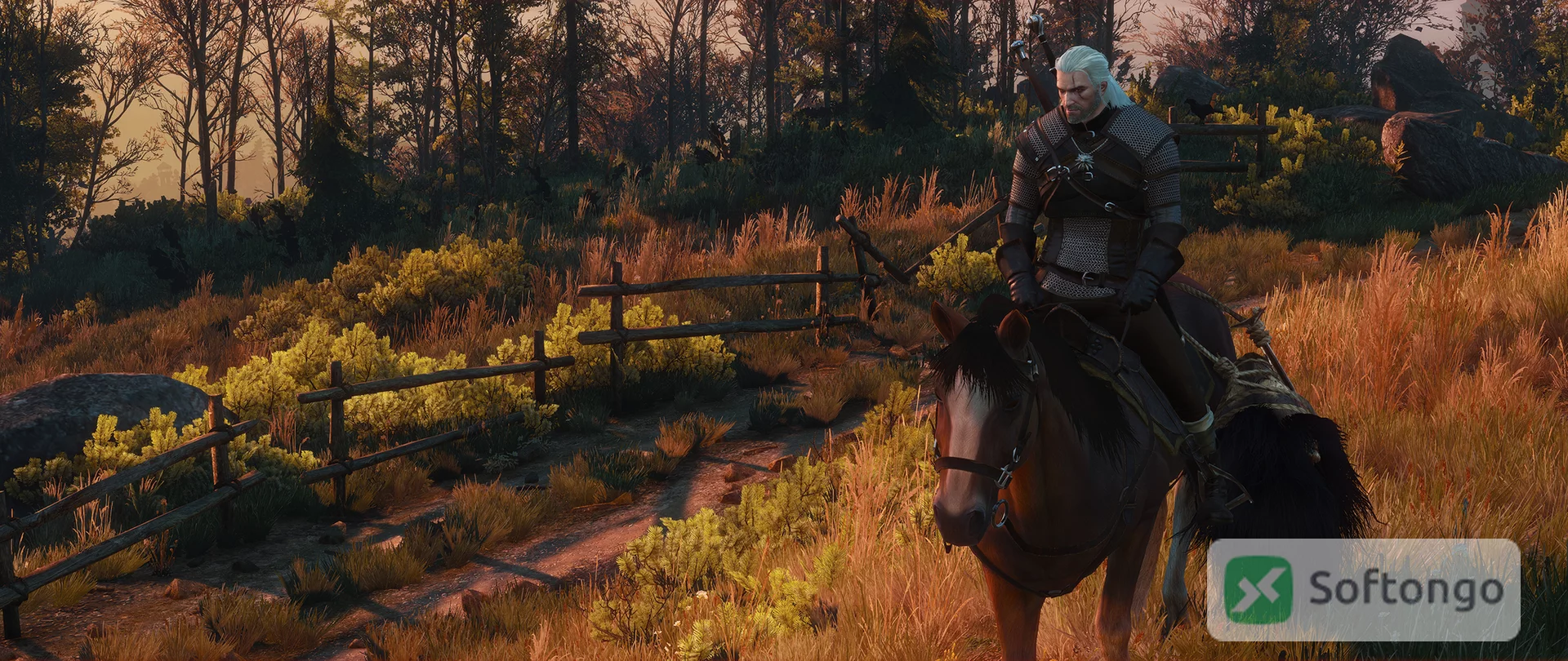Witcher 3