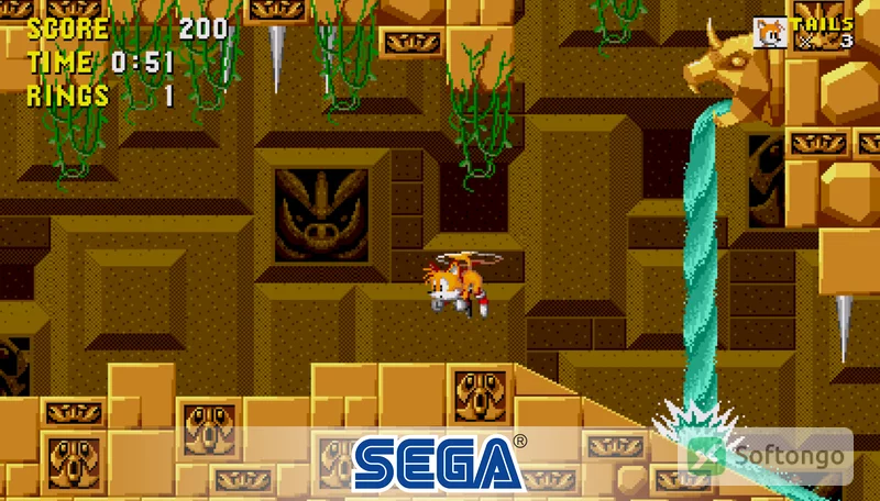 Sonic